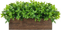 14" Artificial Boxwood Plants Indoor Centerpiece for Dining Room, Fake Plants in Rustic Rectangular Wooden Planter Box, Farmhouse Faux Plants for Mantel/Kitchen/Bathroom/Coffee Table Decor