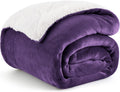 Gentlesoft Sherpa Fleece Twin Size Blanket for Couch, Non-Heated, Thick and Warm Throw Gifts for Women and Girls, Soft Fuzzy Plush Twin Blanket for Winter, Purple, 60X80 Inches